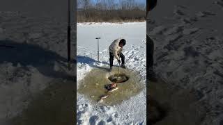 【搞笑漁民生活】冰天雪地中的特殊捕魚,鑿冰鉆洞在撒網,魚兒自主上岸#shorts #捕魚 #搞笑 #戶外抓魚