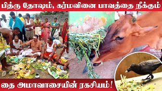 தை அமாவாசை 2024 | பித்ரு தோஷம், கர்மவினை பாவத்தை நீக்கும் தை அமாவாசையின் ரகசியம்| Thai Amavasai 2024