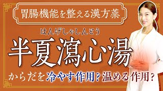 【半夏瀉心湯】ストレスなどによる胃の不調に  今知っておきたい漢方薬！半夏瀉心湯について薬剤師が解説！