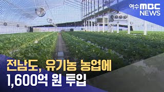 전남도, 유기농 농업에 1,600억 원 투입 (240110수/뉴스투데이)