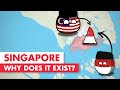 Why does Singapore exist?