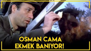 Tokatçı - Osman Cama Ekmek Banıyor!