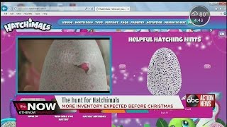 Hatchimals may be in stock before Christmas holiday