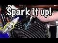 How to Replace Harley Spark Plugs & Properly Set Gap