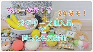 ✨大量✨ ～スクイーズ購入品と貰ったスクイーズ紹介～