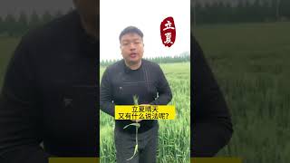 立夏节气这一天，是晴天好？还是雨天好？