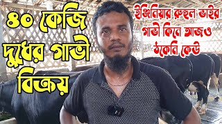 ৩০ কেজি দুধের গাভীর দাম মাত্র ৩ লাখ টাকায়। ইঞ্জিনিয়ার রুহুল ভাইর গাভী কিনে আজও ঠকেনি কেউ