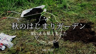 2022年9月4日│ガーデニング│栗の苗木植え付け\u0026秋のガーデン