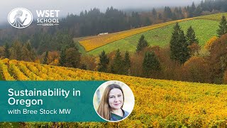 Sustainability in Oregon with Bree Stock MW