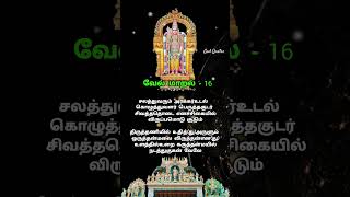 வேல்மாறல் - 16 🦚🦚🦚 #murugan #god #murugangod #trending #shortsfeed #shorts #viralvideo #velmaaral