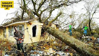 Dangerous Fastest Idiots Cutting Tree Fails Skill With Chainsaw | Tree Falling on Houses #11