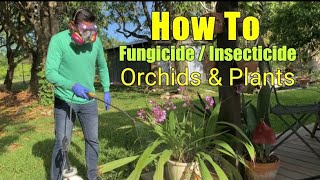 Fungicide and Insecticide Tutorial for your orchids and plants.  Easy steps!