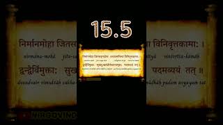 👆 BG 15.5 | Bhagavad Gita 15.5 | Chapter 15.5 | Shloka 15.5 | Text 15.5 | Verse 15.5 #shorts