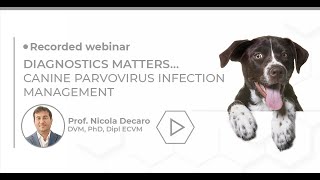 (PT) Biogal Academy | Canine Parvovirus Infection Management