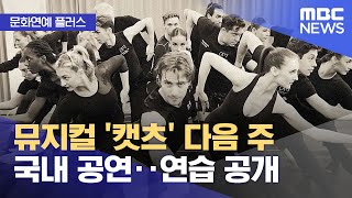 [문화연예 플러스] 뮤지컬 '캣츠' 다음 주 국내 공연‥연습 공개 (2022.12.13/뉴스투데이/MBC)