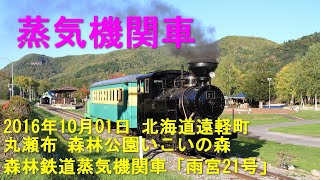 雨宮21号 北海道遠軽町 丸瀬布 森林公園いこいの森森林鉄道蒸気機関車「雨宮21号」走行編  2016年10月01日