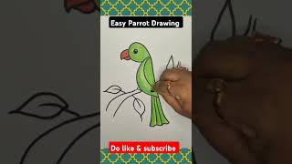 Easy Parrot Drawing #parrot #parrotdrawing