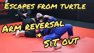 SPIN OUT \u0026 SIT OUT! Escaping the Turtle Position when opponent has a Front Headlock