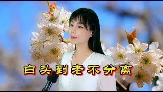 一曲暖心民谣情歌《白头到老不分离》醉人的旋律，感动多少有情人