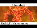 Ezekiel’s Vision – The Cherubim - Ezekiel 1:24; 10:20 (Four Living Creatures). #Shorts