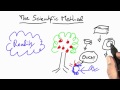 Isaac Newton and Apples - Software Debugging