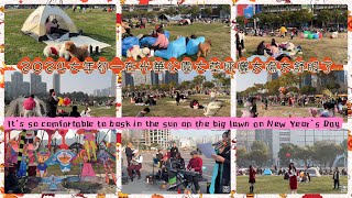 大年初一在大草坪曬太陽太舒服了It’s so comfortable to bask in the sun on the big lawn on New Year’s Day