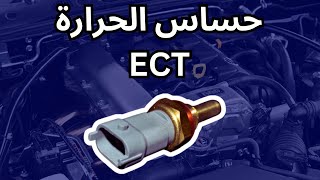 كل شئ عن حساس الحرارة / السيارة تسخن رغم عدم نقص المياه / ECT Sensor