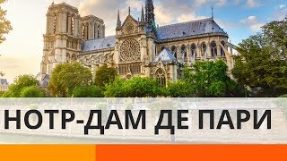 Что нужно знать о соборе Нотр-Дам де Пари – Утро в Большом Городе