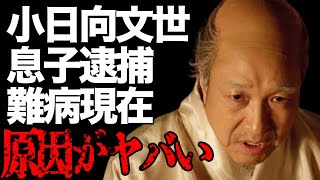 小日向文世の息子が“逮捕”の噂や気絶するほどの“難病”の真相に言葉を失う…「20世紀少年」でも有名な俳優の嫁の正体や現在の関係に驚きを隠せない…