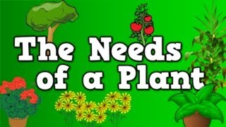 The Needs of a Plant (song for kids about 5 things plants need to live)