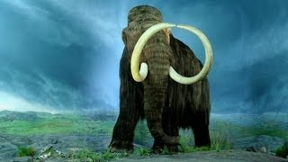 Connect 111 | What Killed the Woolly Mammoth?