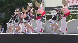 阿波踊り／娯茶兵奉納阿波踊り２０１９四国の祭り