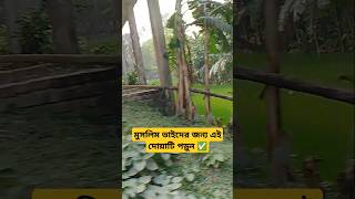 মুসলিম ভাইদের জন্য এই দোয়াটি পড়ুন ✅ ভাই একবার পড়ে যাবেন#shorts