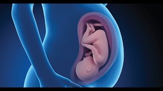The Basics: Postpartum Depression | WebMD