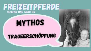 5 Mythen über Trageerschöpfung die du wissen solltest YT