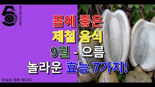 몸에 좋은 제철 음식 9월 - 으름 놀라운 효능 7가지!