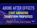 How to start animating the transform properties in After Effects.