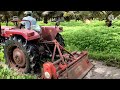 thakkai ponduu coconut maintenance தென்னையை பராமரிப்பது எப்படி உழவு முறைகள்~kms agriculture farm