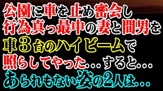 【修羅場】公園に車を止め密会し、車内で行為真っ最中の妻と間男を…車３台のハイビームで照らしてやった…→すると…あられもない姿の2人は…【スカッと】