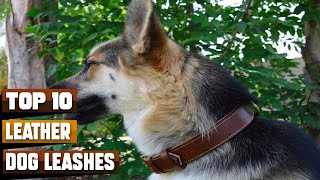 Best Leather Dog Leash In 2024 - Top 10 Leather Dog Leashes Review