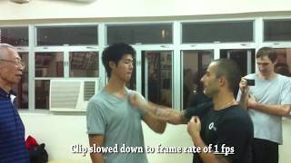 Wing Chun's Speed - Chu Shong Tin