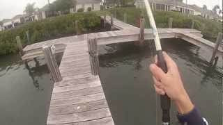 Florida inshore hatcam fishing PART II