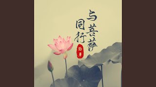 与菩萨同行