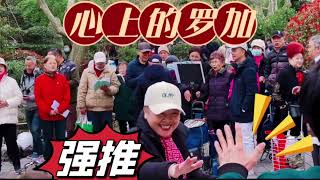 中国歌曲 藏族情歌《心上的罗加》经典情歌 人美歌甜 唱给你心中的爱人吧