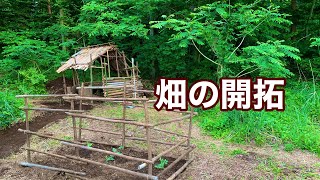 【Life In Nature #6】畑の開拓、食物の栽培【Primitive life】原始的な生活