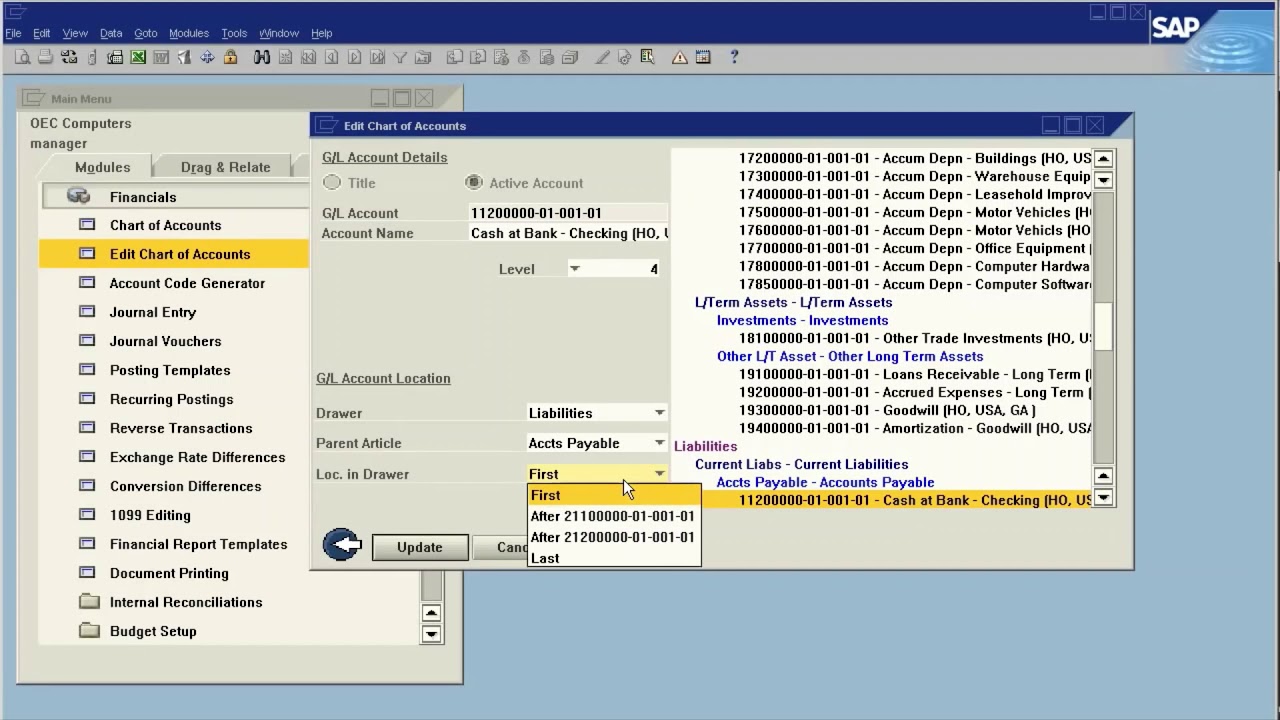 SAP B1 Chart Of Accounts Adjusting - YouTube