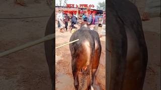 মাত্র ১ লক্ষ ৩১ হাজার ৫০০০ টাকা #foryou #cow #shorts #cowvideos #reels #amazing #animals #trending