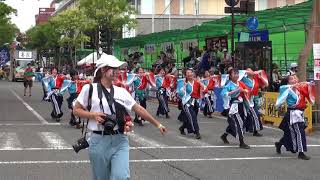 学生よさこいチーム　おどりんちゅ　第65回よさこい祭り