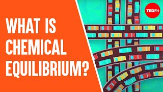 What is chemical equilibrium? - George Zaidan and Charles Morton