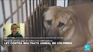 Andrea Padilla: 'Ley Ángel establece un aumento de penas contra los maltratadores de animales'